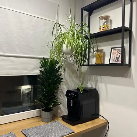 Luksusowy Loft Nad Jeziorem - Poznan Tv Wi-fi Pralko-suszarka Piekarnik Apartamento Swarzędz